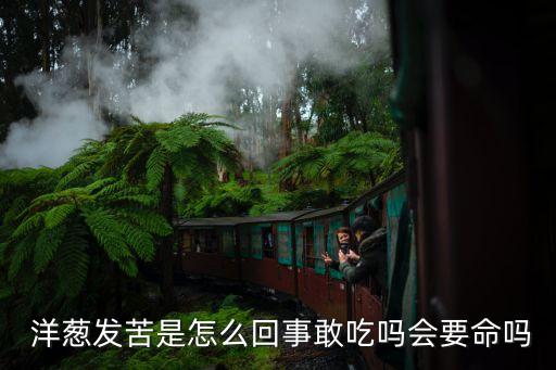 洋蔥發(fā)出農(nóng)藥味道為什么,為什么洋蔥的農(nóng)藥特別多
