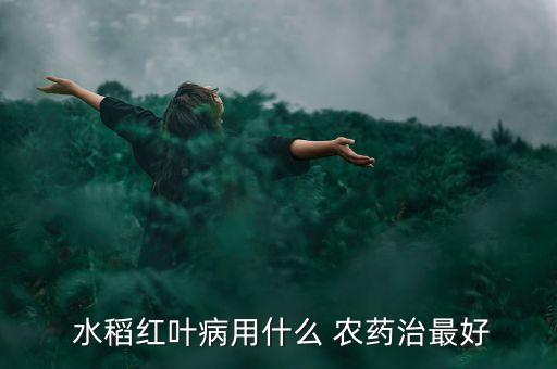 目前水稻打什么農(nóng)藥,水稻矮化用什么農(nóng)藥