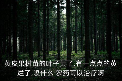 秧苗發(fā)黃用什么農(nóng)藥才好,秧苗打什么農(nóng)藥