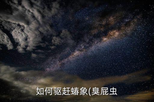 如何驅趕蝽象(臭屁蟲