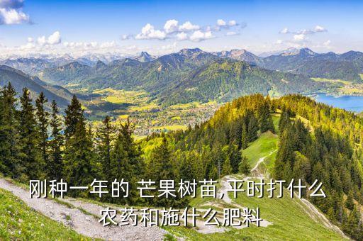 剛種一年的 芒果樹苗,平時打什么 農藥和施什么肥料