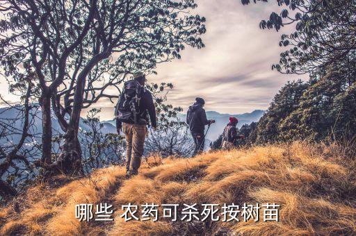 用什么工具打農藥快速打死,打農藥的工具叫什么