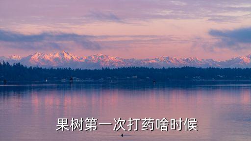 果樹農藥保果子的是什么,果樹根灌農藥果子可以吃嗎