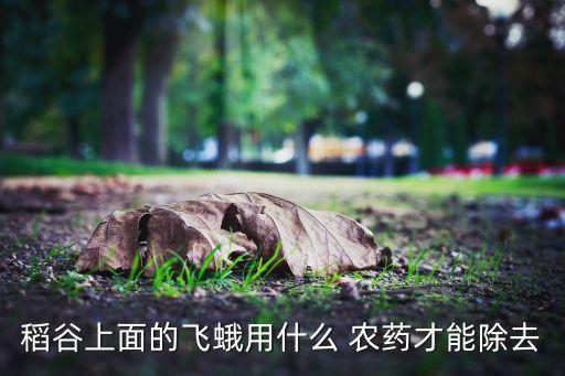 稻谷上面的飛蛾用什么 農藥才能除去