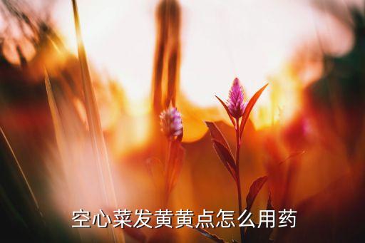  空心菜發黃黃點怎么用藥