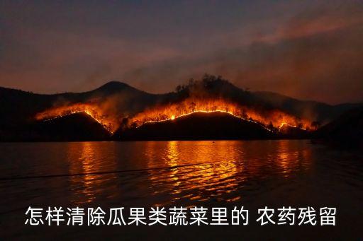 怎樣清除瓜果類蔬菜里的 農藥殘留