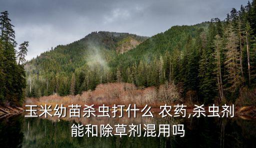 用什么農藥治玉米,什么農藥能讓玉米不結棒