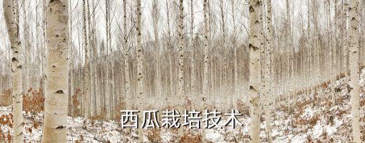 西瓜果腐病打什么農(nóng)藥