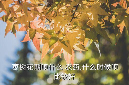 棗樹用什么農(nóng)藥最佳,棗樹需要打什么農(nóng)藥