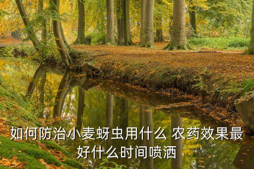 如何防治小麥蚜蟲用什么 農藥效果最好什么時間噴灑