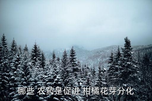 柑橘果樹發芽后打什么農藥