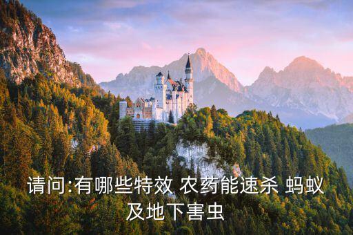 請問:有哪些特效 農(nóng)藥能速殺 螞蟻及地下害蟲