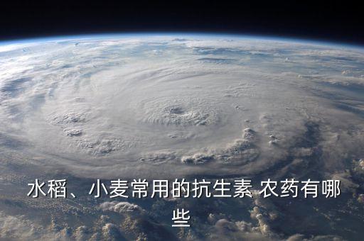 打水稻用什么農藥,什么農藥對水稻傷害最大