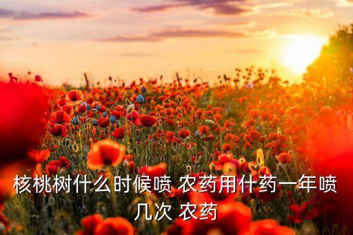 核桃樹什么時候噴 農藥用什藥一年噴幾次 農藥