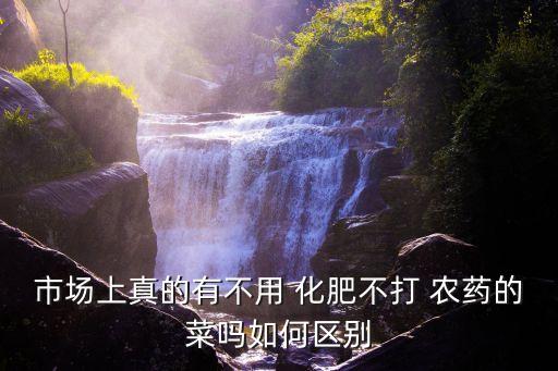 市場上真的有不用 化肥不打 農藥的菜嗎如何區別