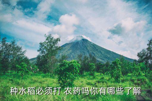稻田什么時間打農藥,蝦稻田打什么農藥