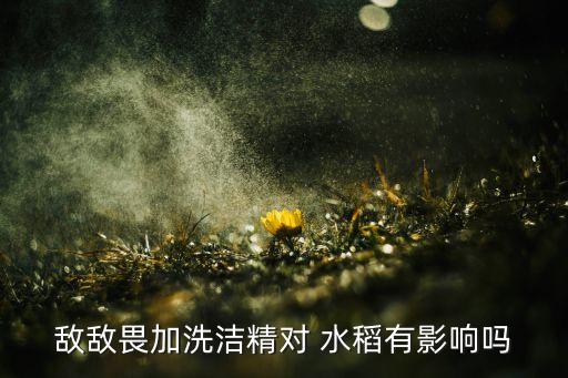 什么農(nóng)藥能要死水稻,水稻農(nóng)藥什么時間打效果最好