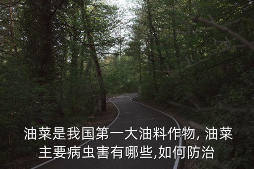  油菜是我國第一大油料作物, 油菜主要病蟲害有哪些,如何防治