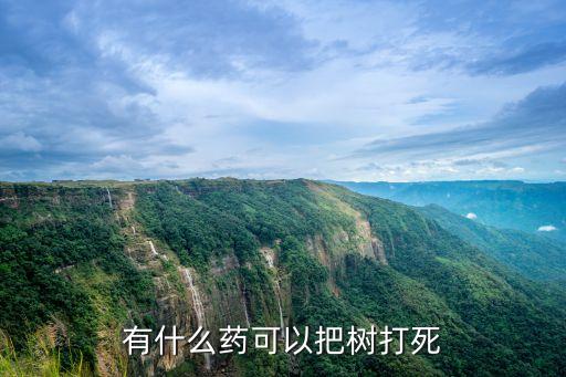 有什么藥可以把樹打死