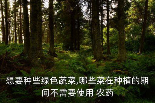 想要種些綠色蔬菜,哪些菜在種植的期間不需要使用 農藥