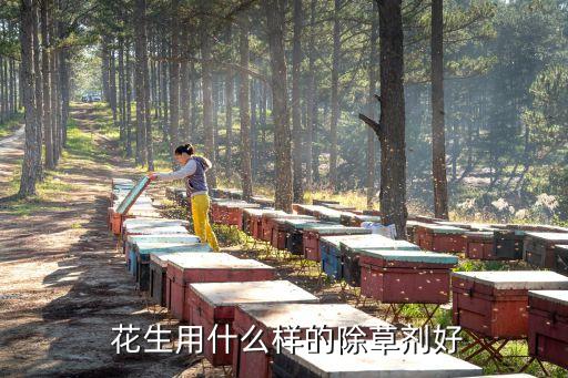 種植花生噴什么農藥,花生種植與管理技術