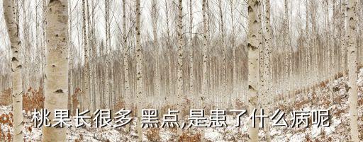 桃果長很多 黑點(diǎn),是患了什么病呢