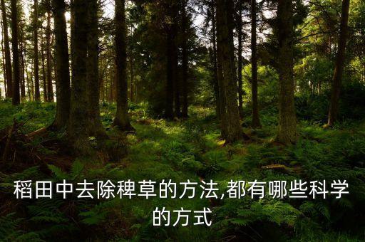 打稻稗用什么農藥好呢,藥稻稗什么農藥效果好