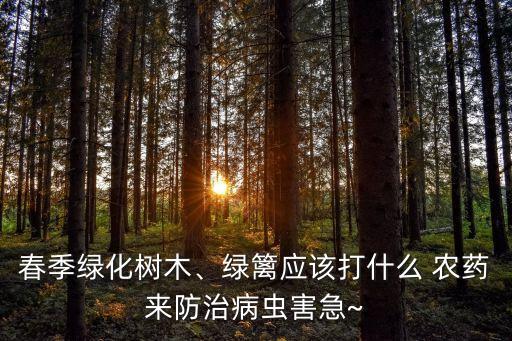 田邊的樹用什么農藥,田邊種什么樹好