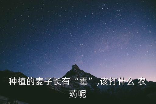 種植的麥子長有“霉”,該打什么 農藥呢