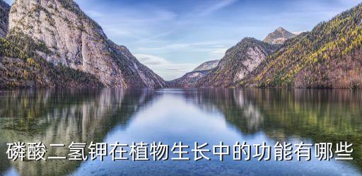 磷酸二氫鉀在植物生長中的功能有哪些