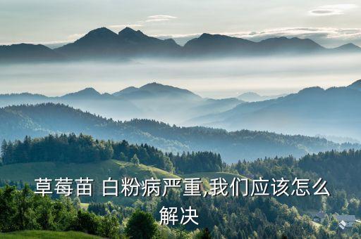 草莓白粉病用什么農(nóng)藥預(yù)防,草莓打白粉病什么時(shí)間