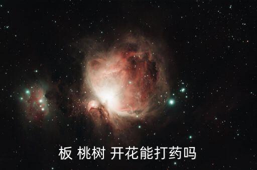 桃樹開花不結(jié)果施什么農(nóng)藥,桃樹不開花不結(jié)果怎么辦
