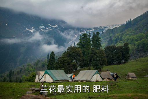 農(nóng)藥蘭花用什么肥料最好呢,蘭花喜歡什么肥料最好