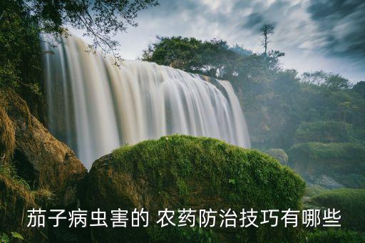  茄子病蟲害的 農藥防治技巧有哪些