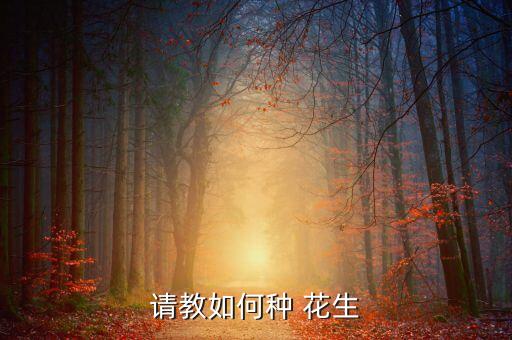 請教如何種 花生