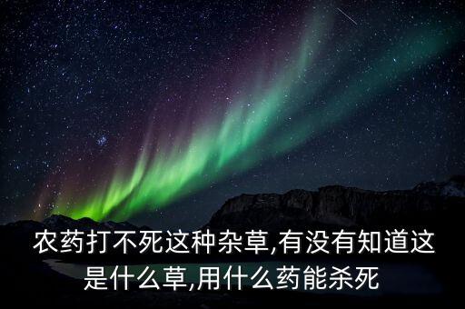 野花組合用什么農(nóng)藥