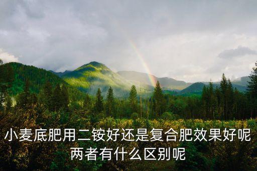 小麥底肥用二銨好還是復合肥效果好呢兩者有什么區別呢