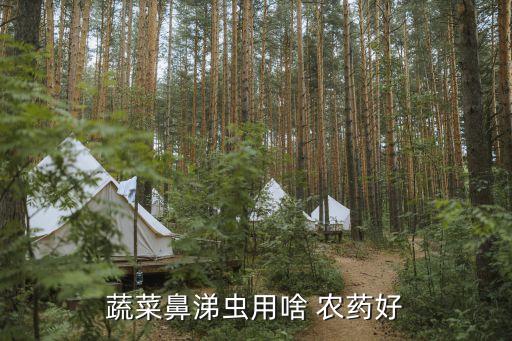 扒沙是什么農藥,666粉是什么農藥