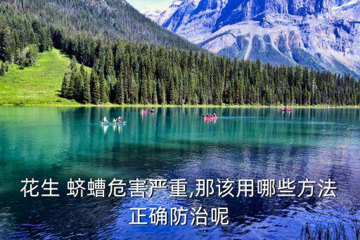 殺蠐螬蟲用什么農(nóng)藥最好,1605農(nóng)藥殺什么蟲