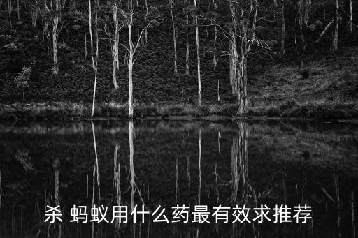 殺 螞蟻用什么藥最有效求推薦
