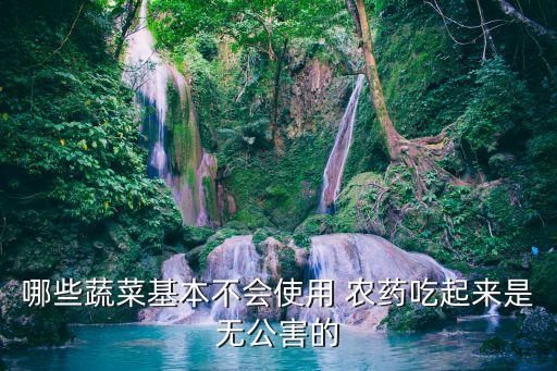 哪些蔬菜基本不會使用 農藥吃起來是無公害的