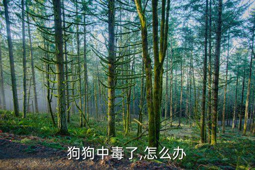狗狗中毒了,怎么辦