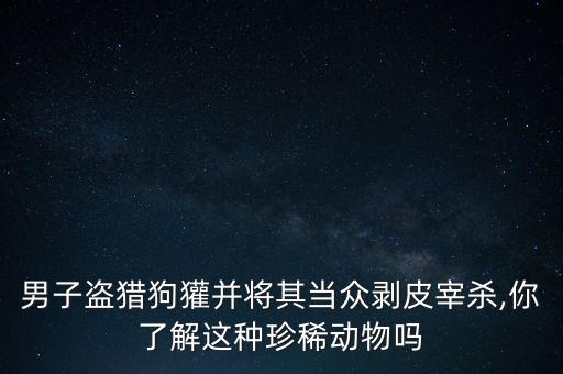 男子盜獵狗獾并將其當(dāng)眾剝皮宰殺,你了解這種珍稀動物嗎