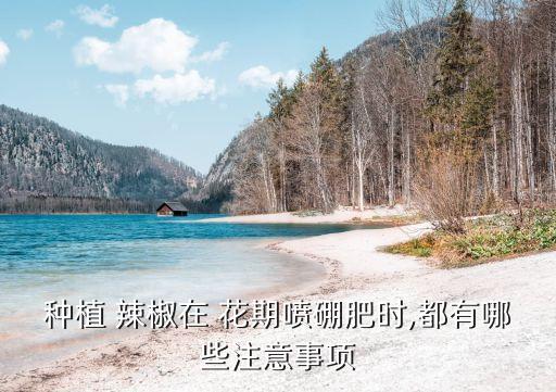 辣椒花期噴什么農藥不燒花,辣椒需要噴什么農藥