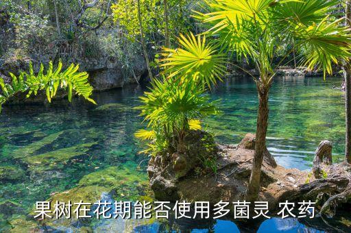 果樹在花期能否使用多菌靈 農藥