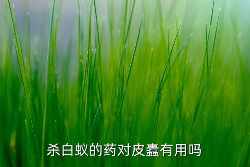 殺白蟻的藥對皮蠹有用嗎