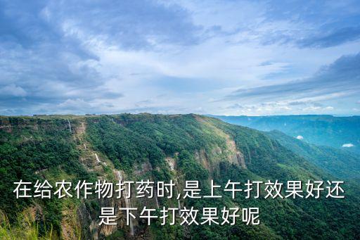 在給農作物打藥時,是上午打效果好還是下午打效果好呢