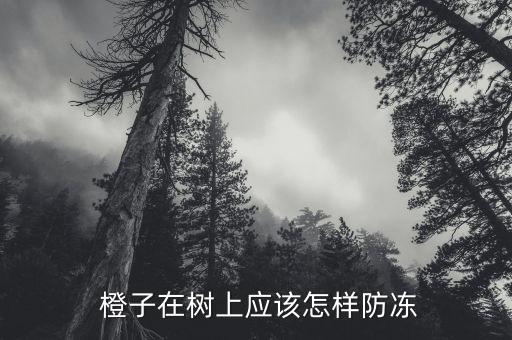 橙子樹冬天打什么農藥藥,冬天的橙子叫什么名