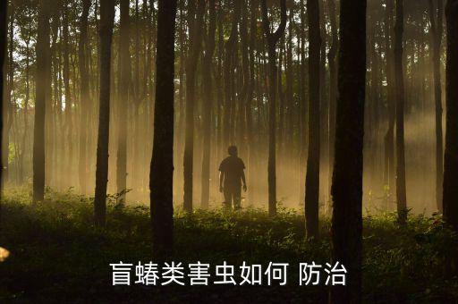 盲蝽類害蟲如何 防治