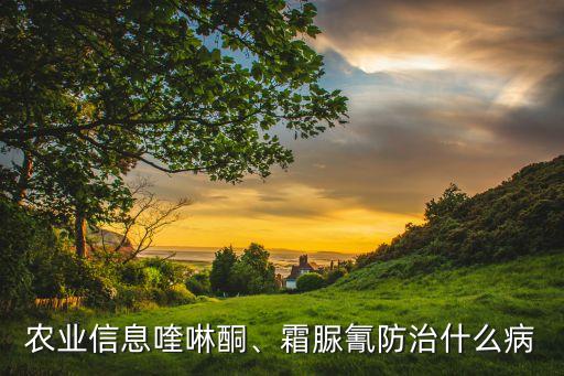 烯酰嗎啉農藥管什么病,農藥烯酰嗎啉的作用及使用方法